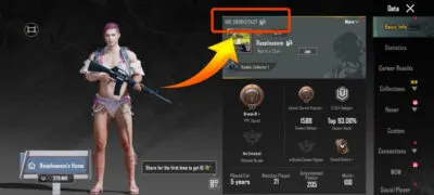 pubg mobile player id code